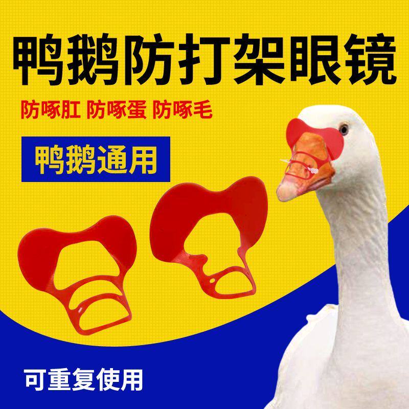 加厚鸭鹅眼镜防打架防啄蛋