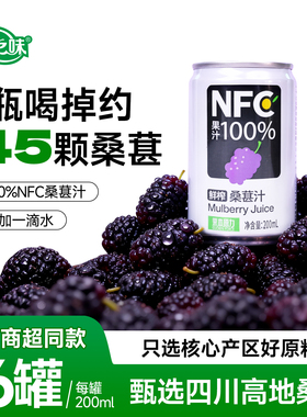 康之味桑葚汁200ml*3听鲜果原榨NFC无添加纯果汁桑椹原浆饮品整箱