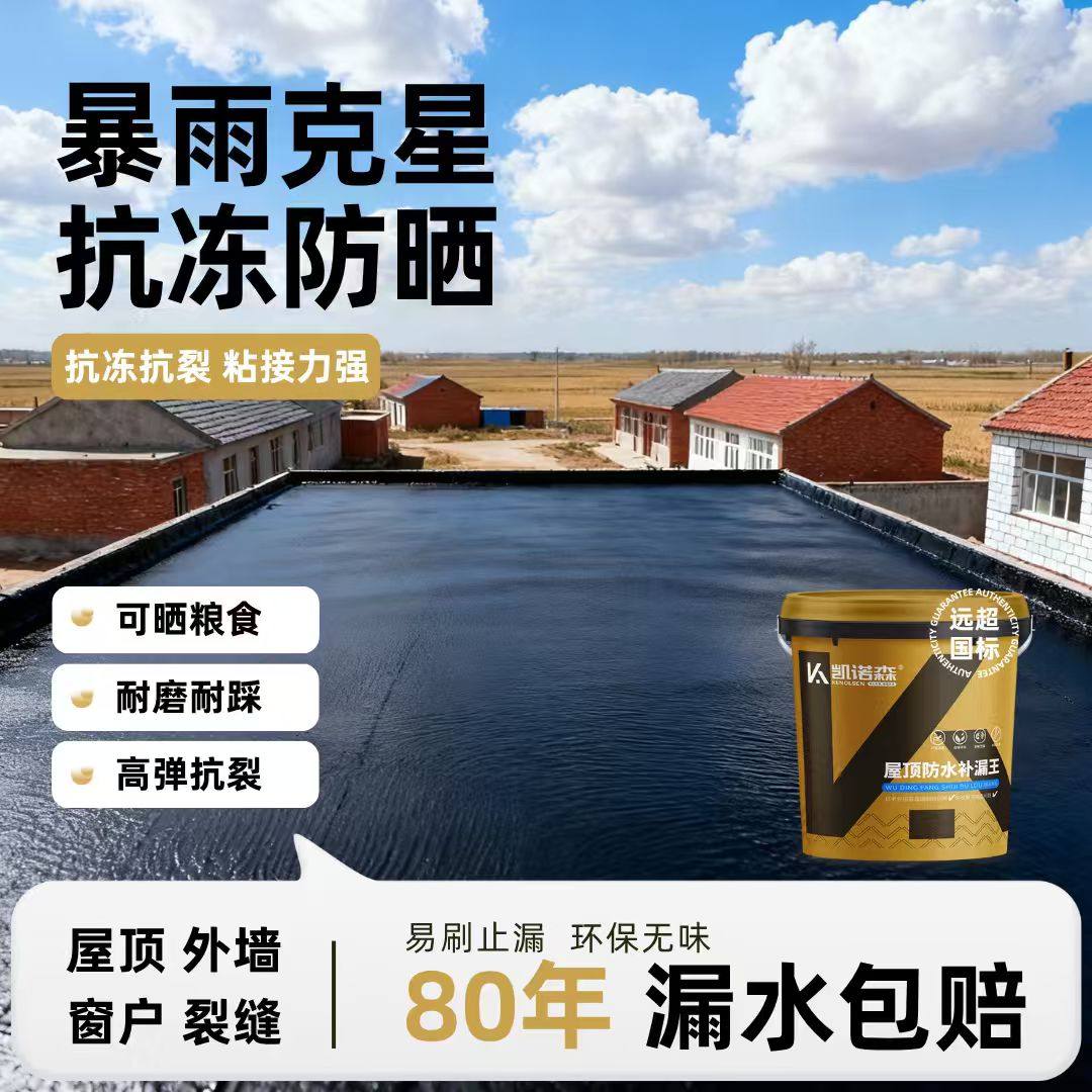 屋顶防水补漏材料屋顶裂缝漏水专用胶楼房顶平房渗水止漏防漏涂料