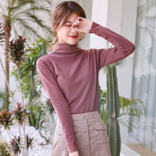 【阳离子德绒】秋冬季高领打底衫