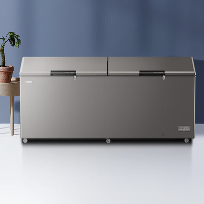 Haier/海尔 BC/BD-829GHEPC