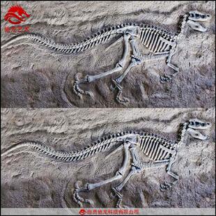 原角翼龙肿头龙迅猛龙化石块儿童沙坑考古发掘仿真恐龙玻璃钢化石