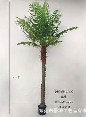 仿真小椰子树仿真美丽针葵树小棕榈树室内外绿植盆栽落地造景装饰