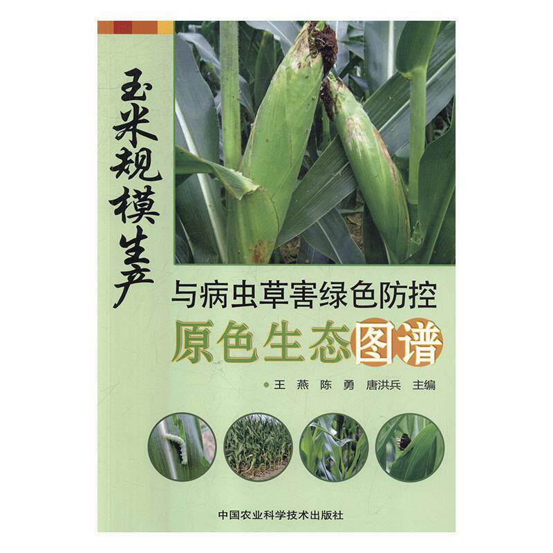 【正版书】 玉米规模生产与病虫草害绿色防控原色生态图谱 王燕,陈勇,唐洪兵 著 中国农业科学技术出版社