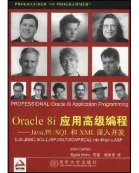 【正版】Oracle8i应用编程 Java PLSQL和XML深 John、郝启堂