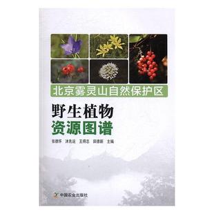 【正版】北京雾灵山自然保护区 野生植物资源图谱 张德怀、沐先运、王得