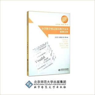 【正版书】 小学数学核心知识教学及其案例分析 石红芳,胡安波,杨梅 著,綦春霞,曹一鸣 编 北京师范大学出版社