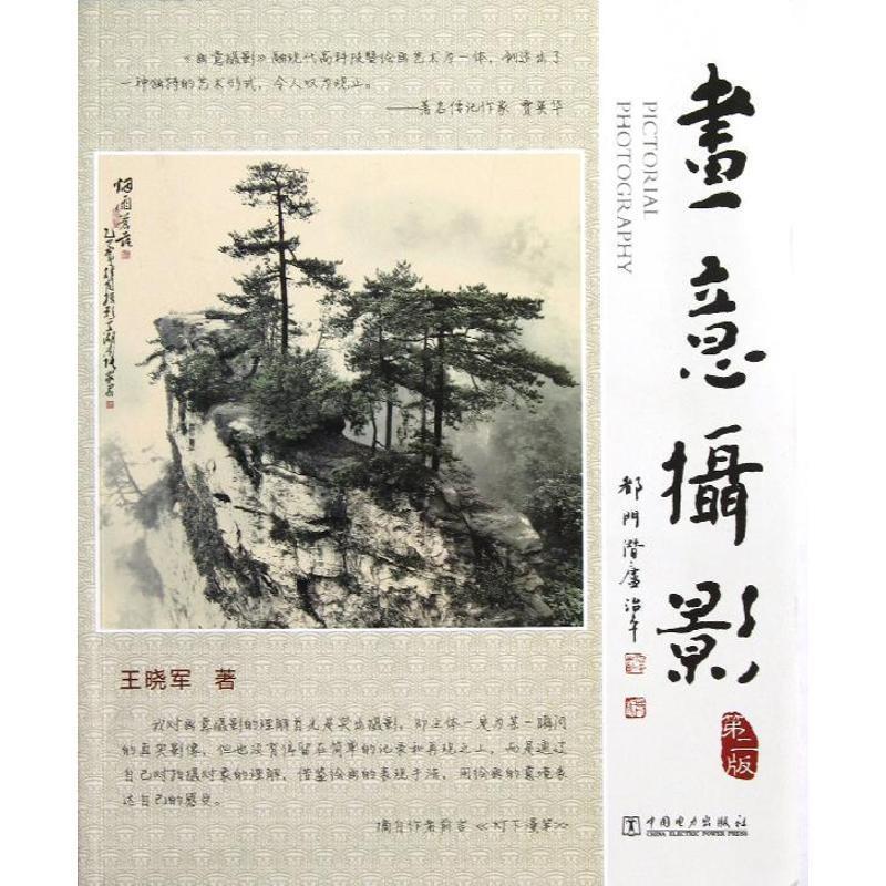 【正版书】 画意摄影 王晓军 中国电力出版社