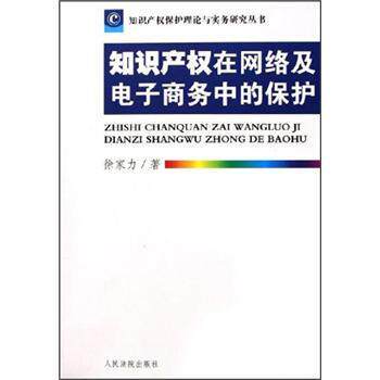 【正版书】 知识产权在网络及电子商务中的保护 徐家力 著 人民法院出版社