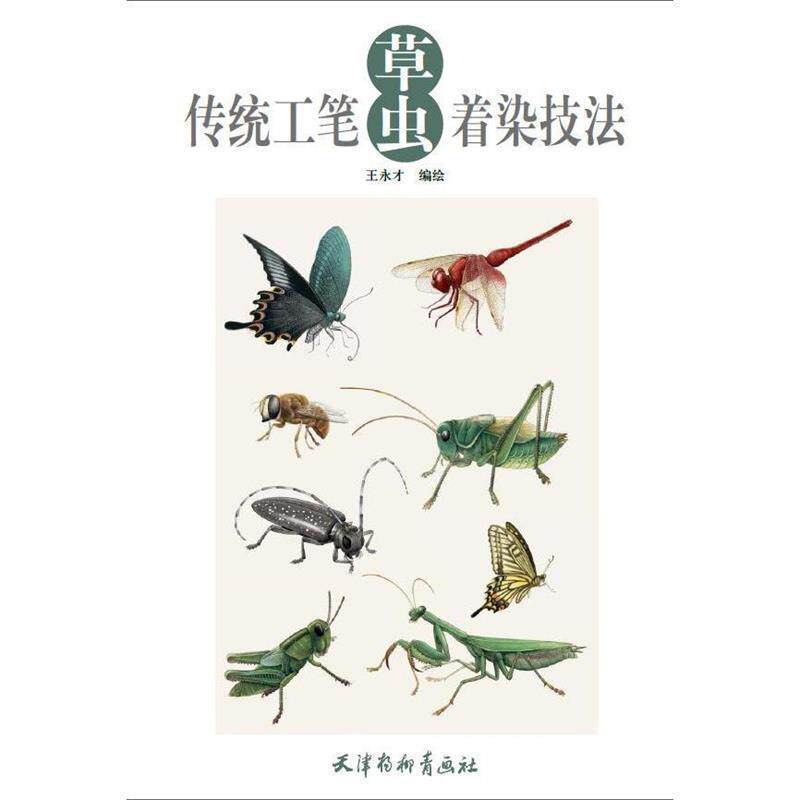 【正版书】 传统工笔草虫着染技法 王永才 杨柳青出版社