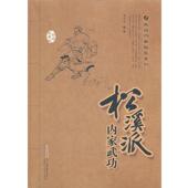 松溪派内家武功 书 胡玉玺 编著 社 安徽科学技术出版 正版