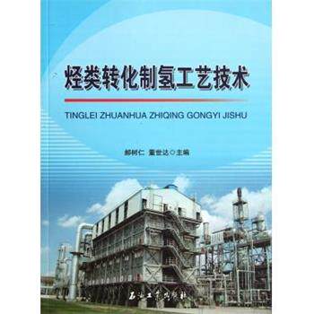 【正版书】 烃类转化制氢工艺技术 郝树仁,董世达 石油工业出版社