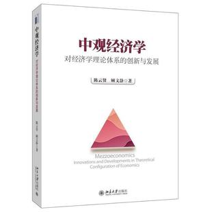 创新与发展 对经济学理论体系 正版 陈云贤；顾文静 中观经济学