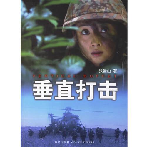 【正版】垂直打击 张嵩山