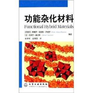 【正版书】 功能杂化材料 [西班牙] 佩德罗 著,张学军,迟伟东 译 化学工业出版社