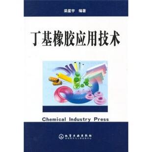 【正版书】 丁基橡胶应用技术 梁星宇 著 化学工业出版社