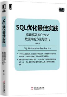 SQL优化 构建高效率Oracle数据库 方法与技巧 韩锋 正版 佳实践