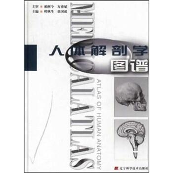 【正版】人体解剖学图谱 韩秋生