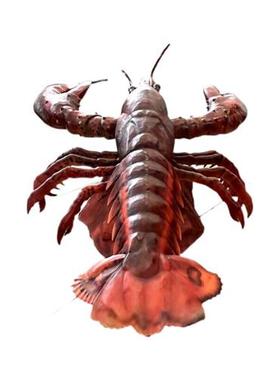 仿真动物动态模型龙虾爬爬虾模型海鲜馆馆饭店餐馆店招美陈装饰