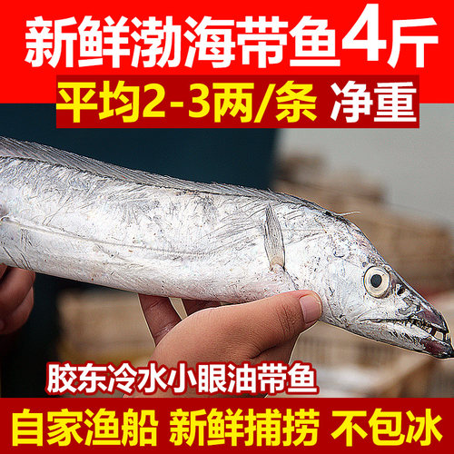 新鲜渤海小眼白睛带鱼4斤净重