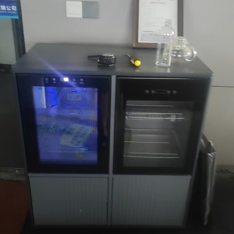实木柜体现代风冷藏柜消毒柜