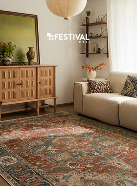 【新品发售】土耳其原装进口美式复古高级轻奢客厅地毯