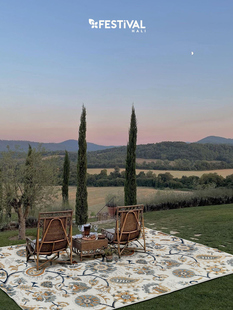 土耳其进口户外庭院地毯防水防晒别墅花园阳台专用地垫客厅地毯