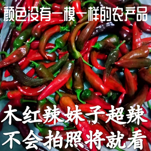 木红色辣妹子特辣青红辣椒现摘现发笨尖椒新鲜剁椒泡椒原料直发