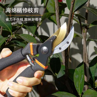 果树修枝剪刀园艺剪刀果枝花枝剪花卉绿化嫁接园林剪海绵柄