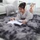 bedroom blanket full room Carpet front plush bed living