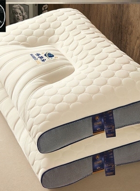 Five-star Hotel bed pillow soft healthy pillows latex
