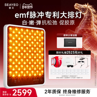 SEAYEO昔又ProMax大排灯美容仪光子嫩肤美白祛痘面膜仪经典S