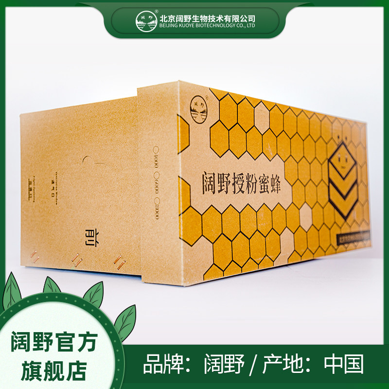 蜜蜂带蜂王授粉蜂蜂王