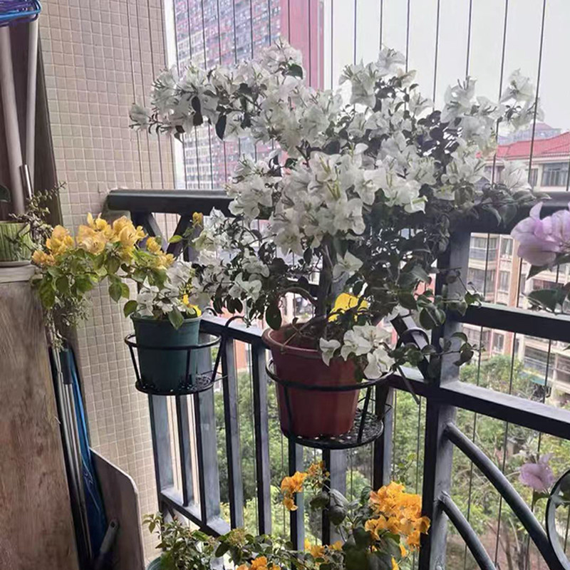 铁艺护栏花盆挂架多肉栏杆花架子阳台花架悬挂式室内窗台置物架,收纳整理,阳台置物架,淘宝优惠券,粉丝福利购,淘宝优惠卷