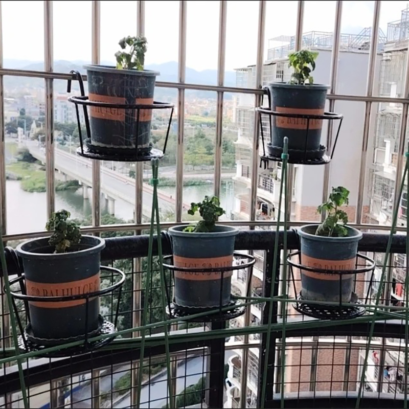 北欧室内铁艺花架栏杆客厅阳台落地式简约绿萝花盆挂架悬挂多层
