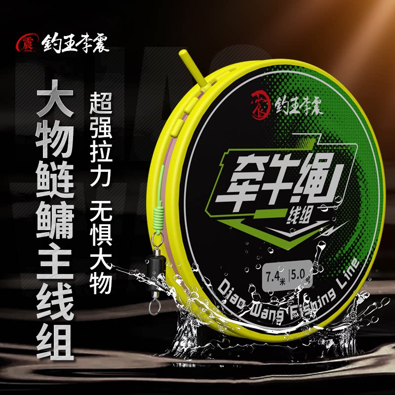 钓王李震2卷装牵牛绳鲢鳙主线组防缠绕全套钓鱼主线耐磨拉力原丝