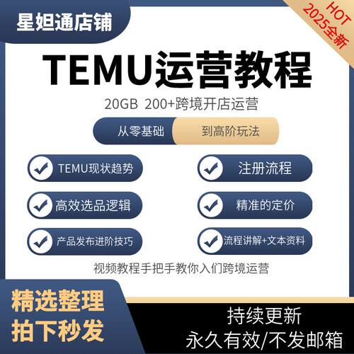 temu跨境电商运营教程零基础 选品策略实操 跨境爆款打造课程视频