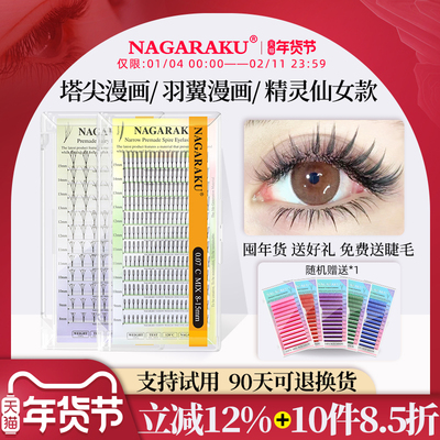 漫画款塔尖睫毛山茶花收尖湿睫毛