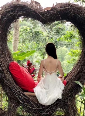 藤条打卡拍照田园农庄引流网红