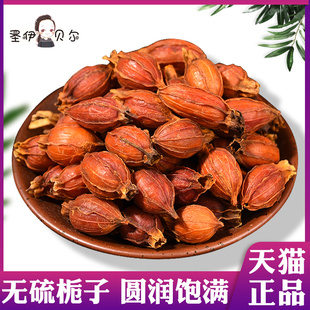 中药材栀子茶栀子果泡茶500g山栀子菊苣红栀子干食用黄栀子花茶