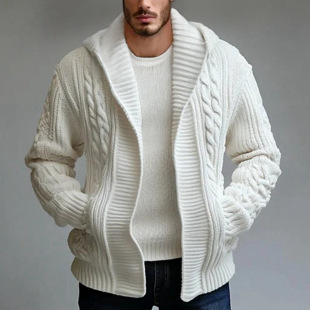2026秋季欧美男士宽松开衫毛衣外套休闲连帽针织衫Men's knitwear