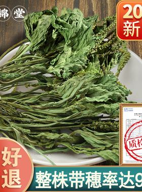 车前草500g克干货官方旗舰店带根非中药材新鲜袋泡茶不野生绞股蓝