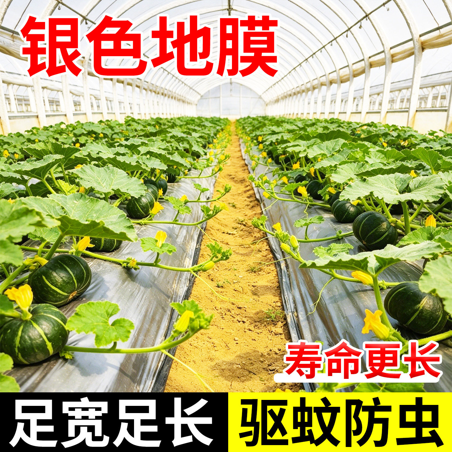 银色地膜银黑双色反光除草地膜果树园保湿保温薄膜种植膜防虫除草