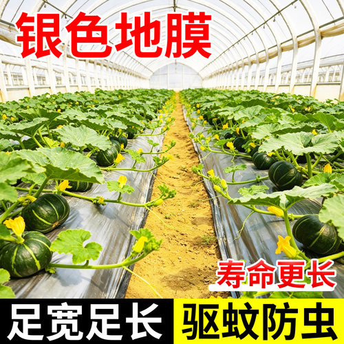 银色地膜银黑双色反光除草地膜果树园保湿保温薄膜种植膜防虫除草