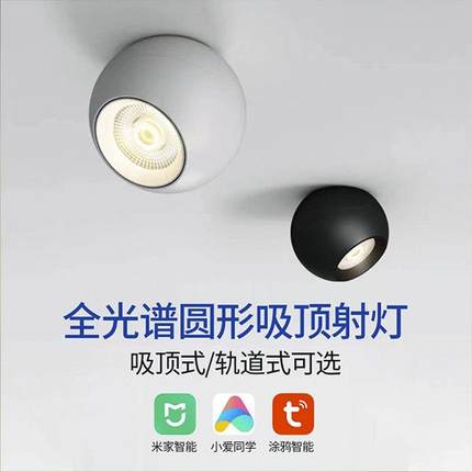 明装射灯LED灯家用客厅圆形可旋无主灯全光谱过道电视墙吸顶筒灯