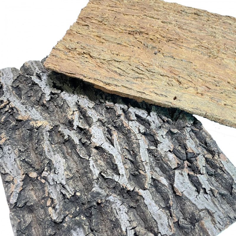 香槟树皮爬宠专用蜘蛛蝎子躲避遮挡造景防腐香槟树干道空气凤梨