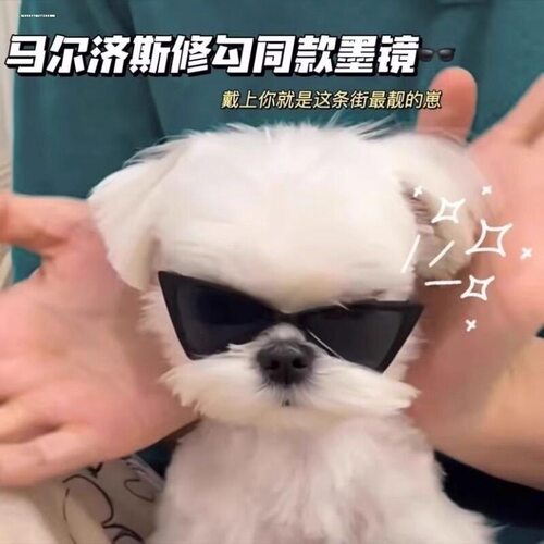 宠物潮酷尖角三角眼镜布偶猫约克夏猫咪小狗写真搞怪穿搭装饰品