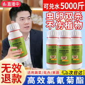 杀蚊子灭蟑螂神器跳蚤蚂蚁白蚁药家用室内户外下水道杀虫剂臭虫药