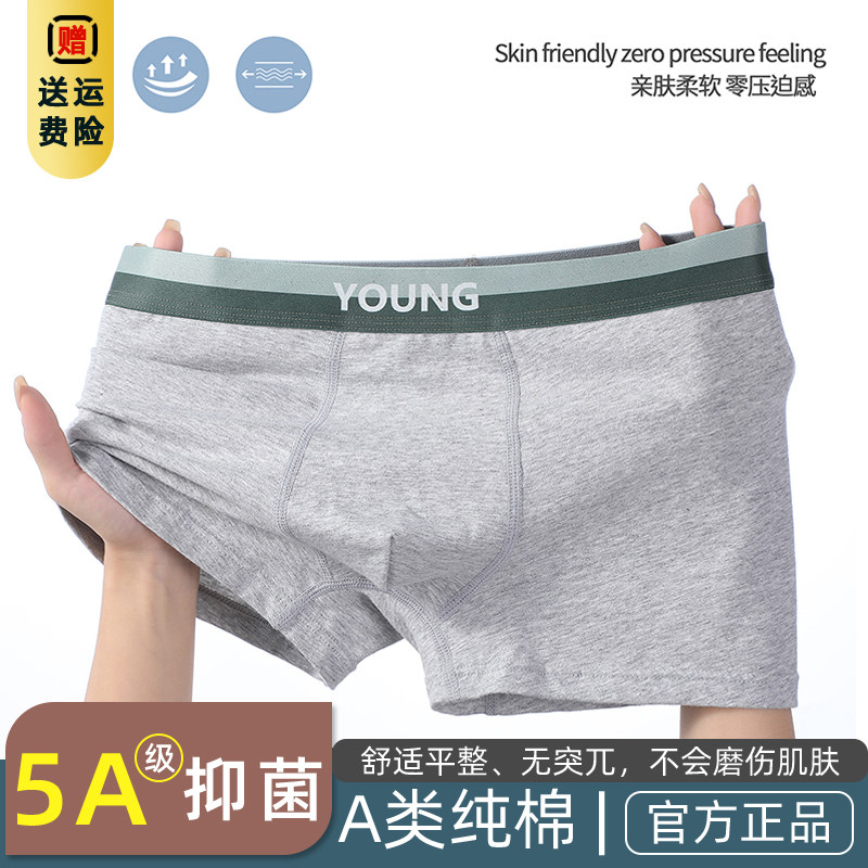 青少年内裤男夏季纯棉平角大童