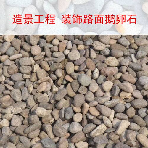 鹅卵石厂家现货 变压器垫层鹅卵石 庭院广场园林河滩景观石鹅卵石